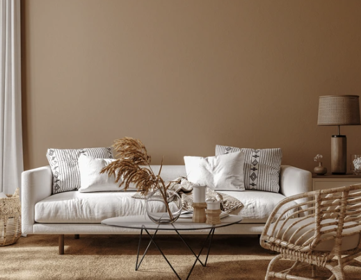 salon moderne couleur terreuse